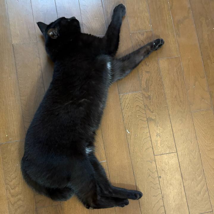 960960af 730c 458d 81a7 6cfd5a65f086 1765971041681