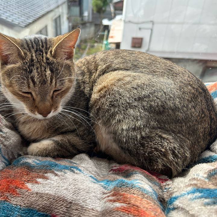 96096af7 70ed 4e08 8ecb 46db85b23110 1761963178919