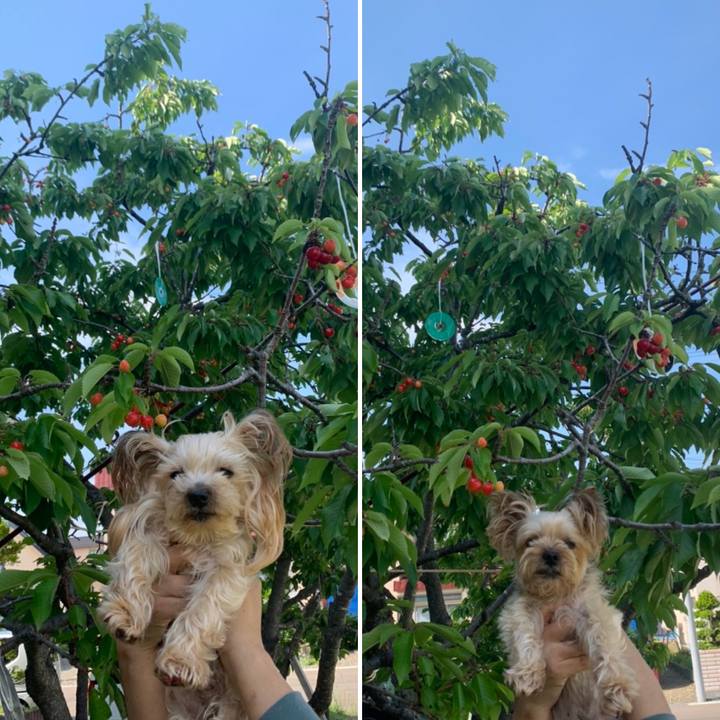 96098d59 bbe7 4153 971b 966223cf76cb 1655717003263