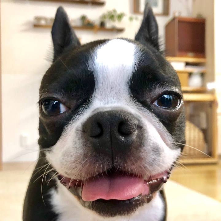 9609b0ca 0ed3 4d23 a778 67b72df3fb17 1536739088577