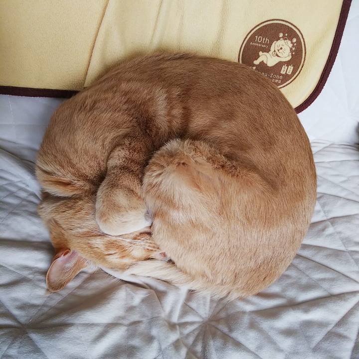 9609de96 c04c 41b0 b66c 645dc4c31eb0 1617493655207