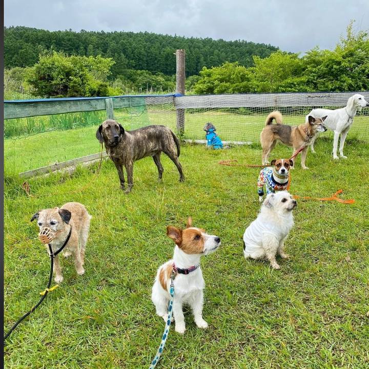 9609f2cd ee44 4f5c b25f 454bb5708f65 1654677904390