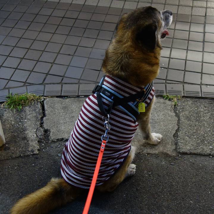 9609f2ce af3d 4d50 842b f5b50db8d818 1531739274405