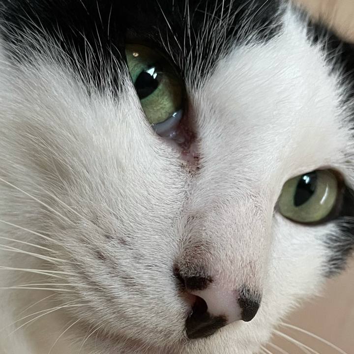 960a07eb 95f9 459c 8148 e73c357322dc 1628748670571