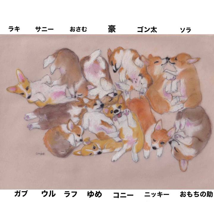 960a0edd b031 46ef a2ad c5c9c72ed509 1611503506352