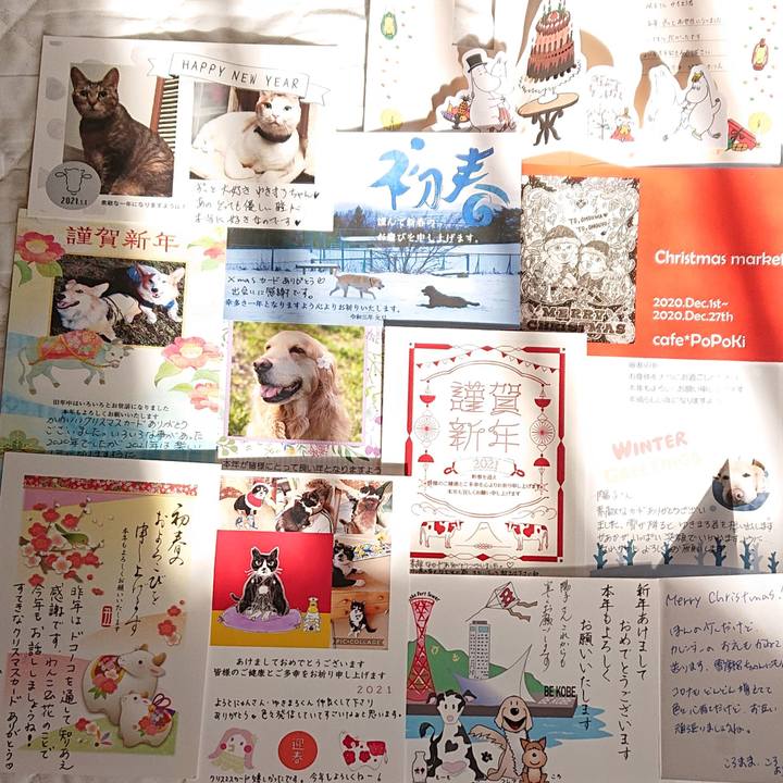 960a2c3c 8d9b 4c26 8f9b 39d340553790 1610774319880