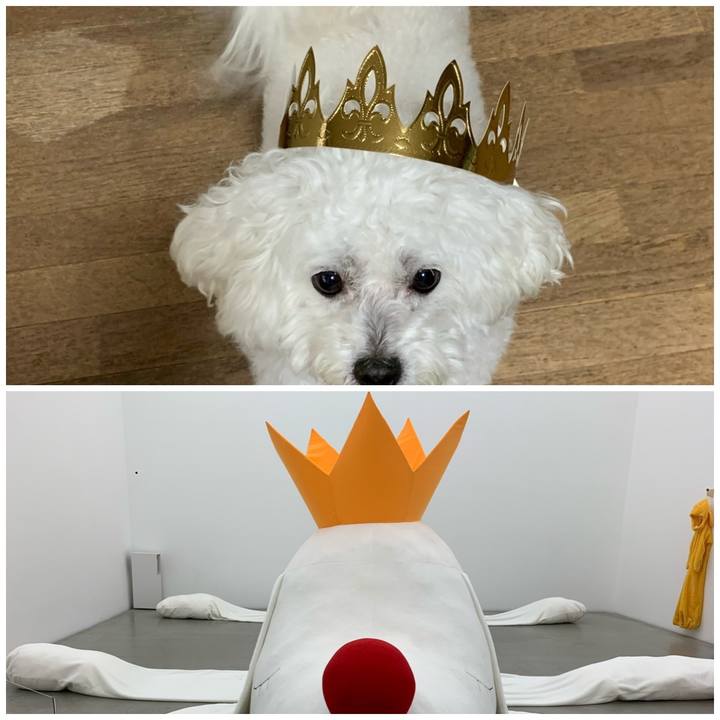 960a4ac3 ba0a 4bae be93 e67c57803b4e 1582365292624