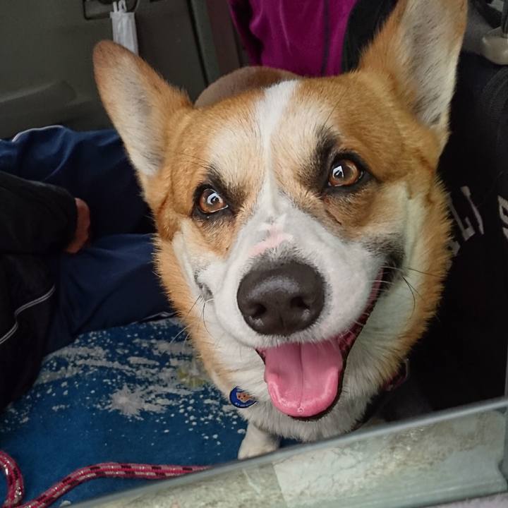 960a7a34 92a5 44df 8ee4 c8dd6fd6e529 1617218231321