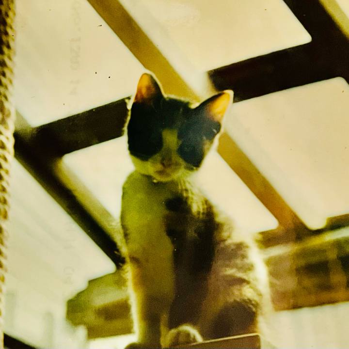 960a9e03 ea30 4d9f acd2 409d8c2dcd45 1774318382217