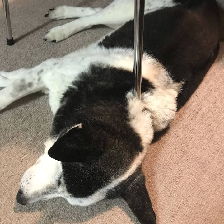 960b106a 517c 404d 8a0d 2644977b9ee8 1568122884404