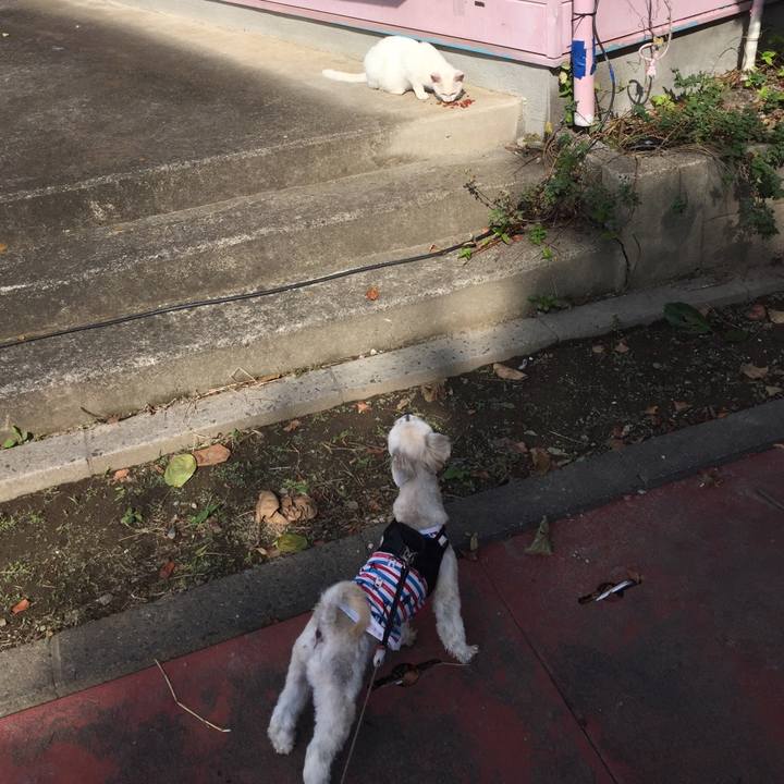 960b6bc2 f297 48f0 8053 63eba9066d94 1540704686497