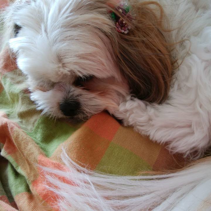 960b7235 d93a 4583 ba8a 8f25fc8be010 1520916255509