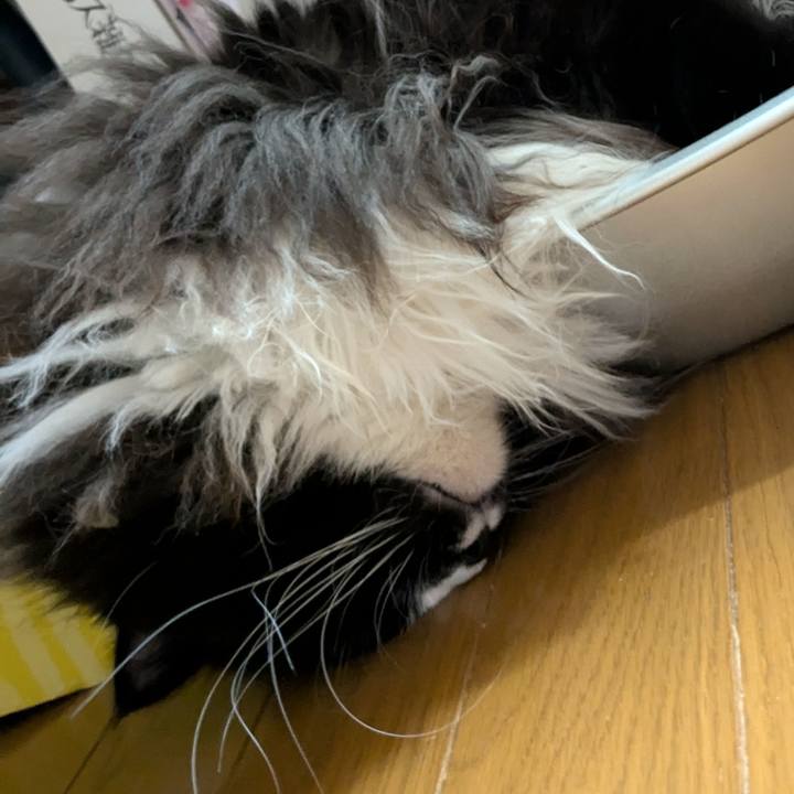 960b933e 2a29 4299 8188 21796c86a4ec 1729306560886