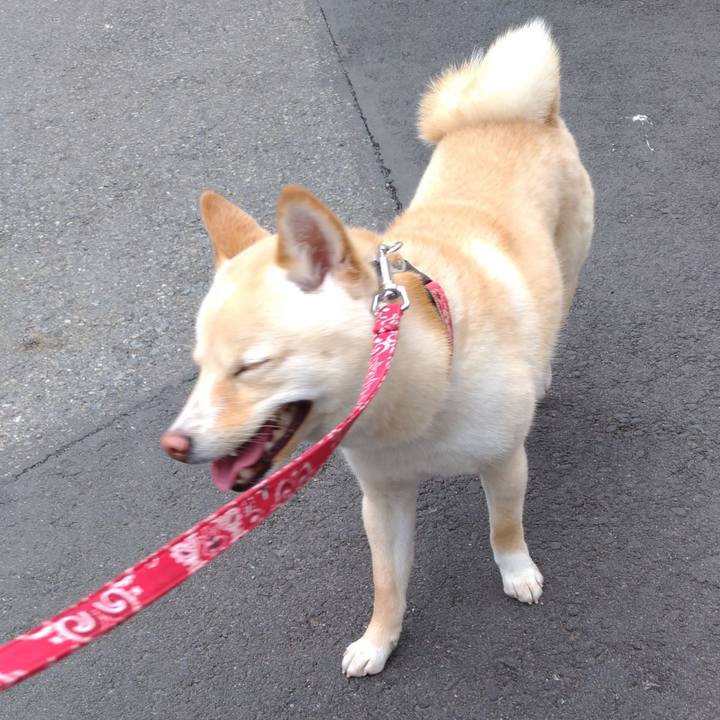 960bb242 03b4 4640 96ee 62495cfb3e75 1523098668364