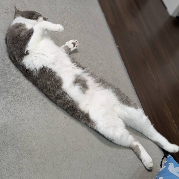 960c1510 3108 4bca bee1 c3cada57c2d0 1758870074286