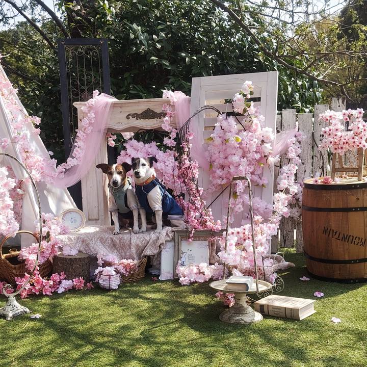 960c3fe1 5edb 403b 83e5 fcbe8f64fd35 1774779863187