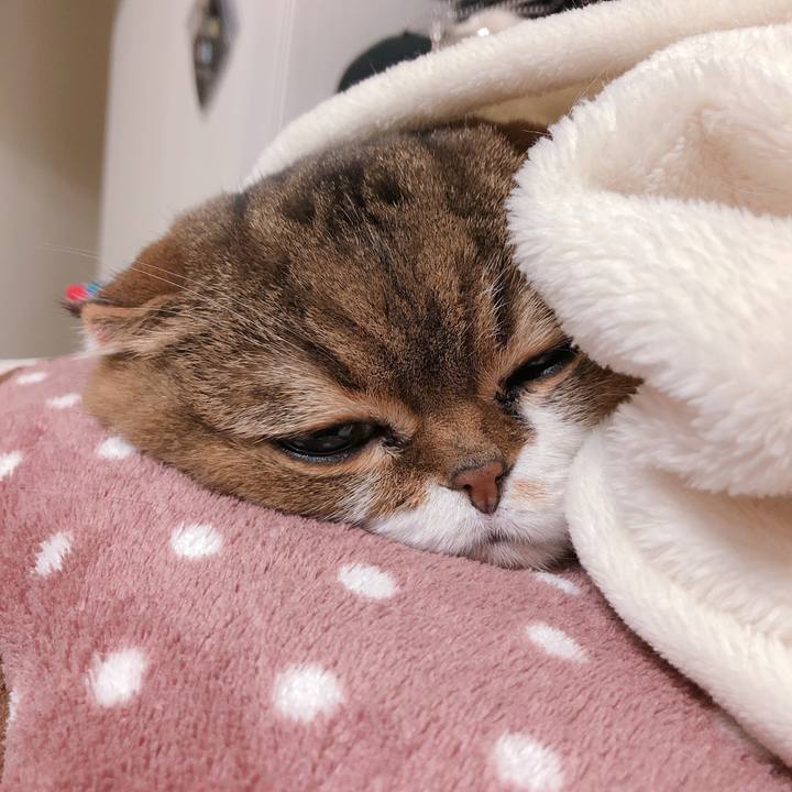 960c55d9 2e98 4083 9195 6f28565a80fa 1554392811021