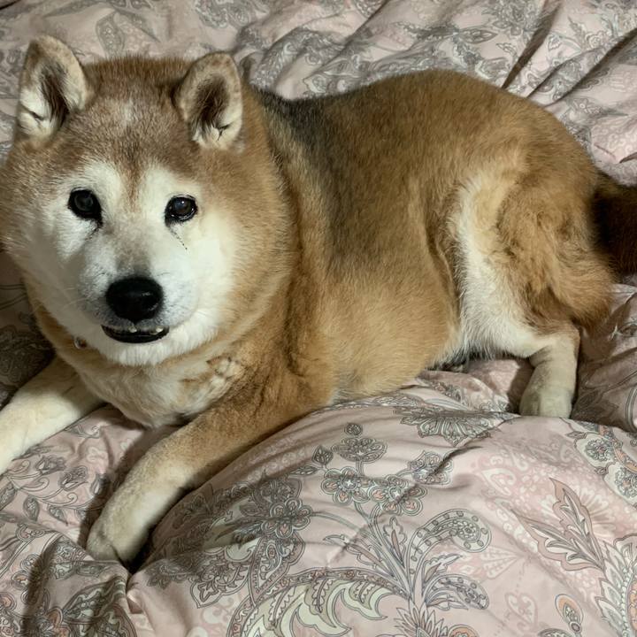 960c8cac 6102 4b09 977a cb21963f8c12 1646263296921