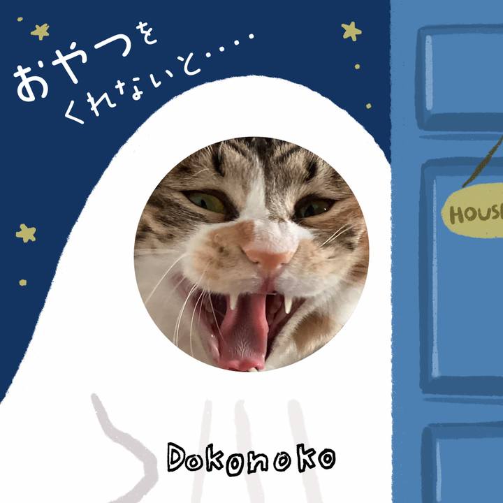 960c9b77 a379 4596 80db 63298ddad8ac 1729056645231