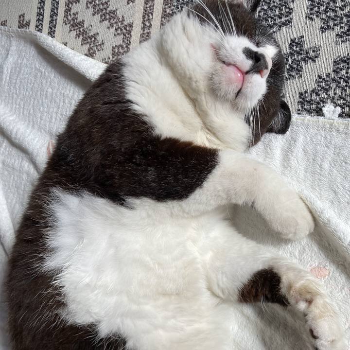 960cb9b9 5c6a 48a2 b922 aae3d11c3196 1686915647827