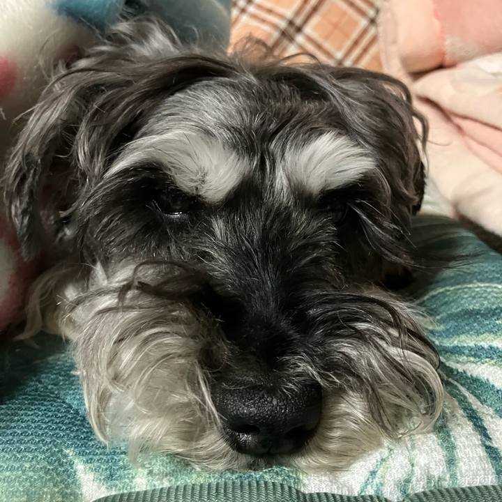 960cd62f 9e7f 4083 8021 436788d1851f 1748097383592