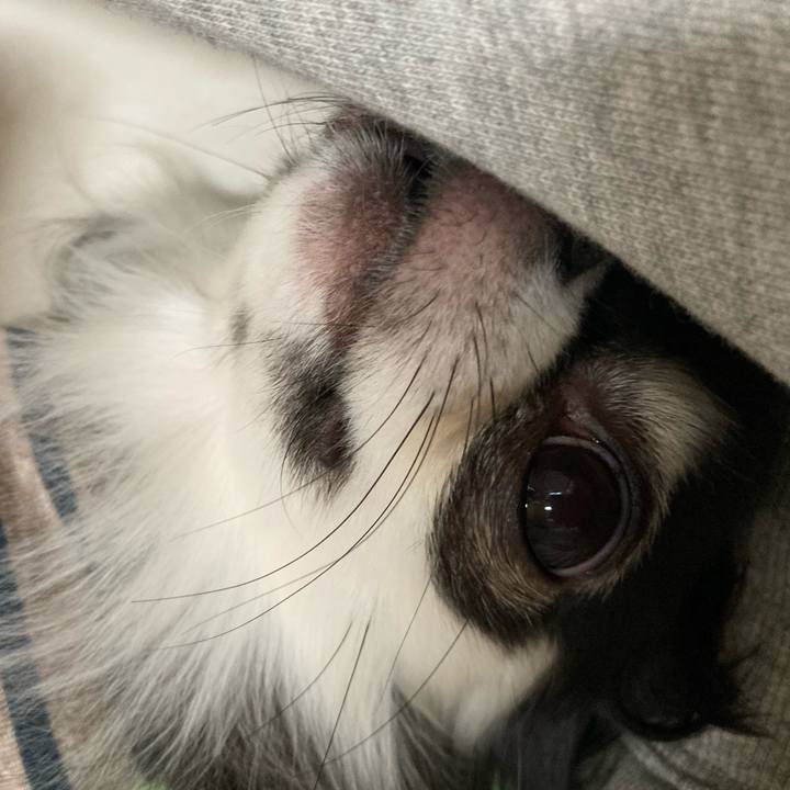 960d2a22 b26f 4d87 8fc1 9b3bde8de684 1637415968935