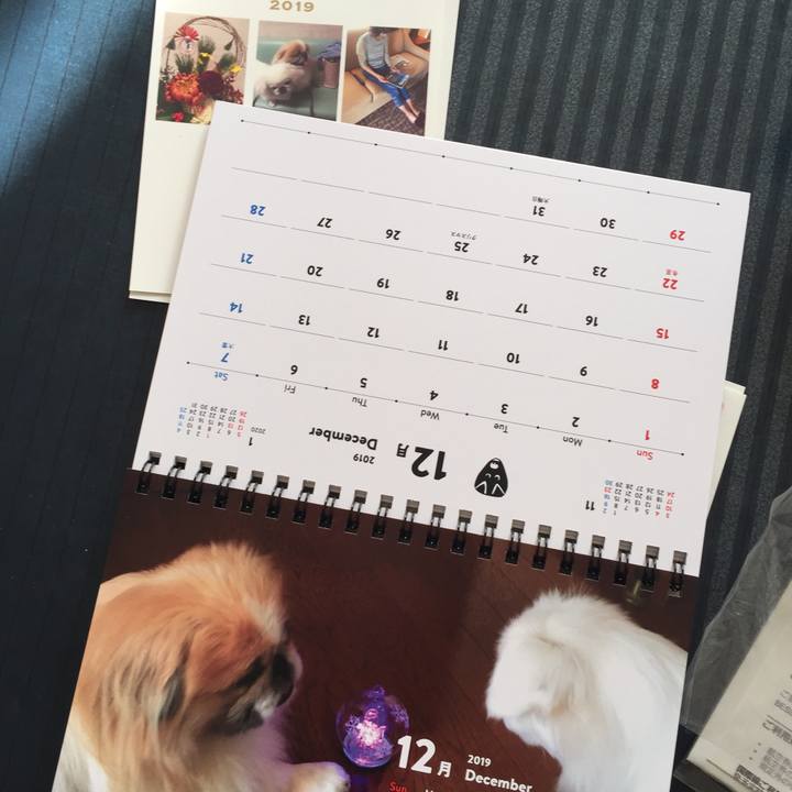 960d5eb6 4385 437b 8ca5 8a28d10bc22f 1546057462348