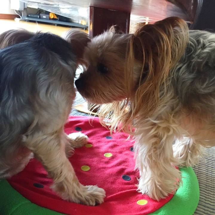 960d8d21 5bf7 4042 832d 40b4fbb8dcd8 1533634319399