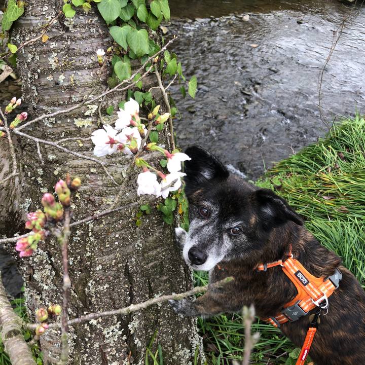 960d9b45 28b1 4600 ba09 75bed6e986ef 1679474599792