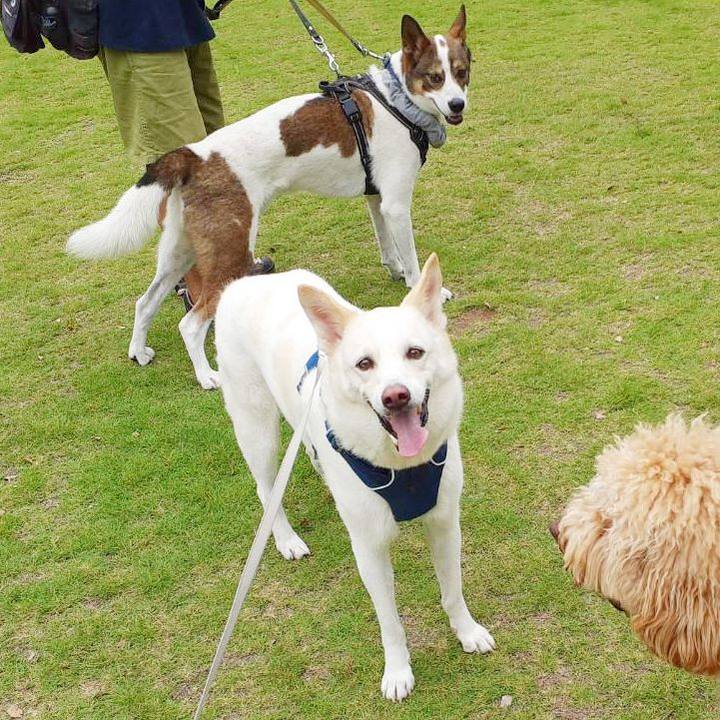 960dc31c ebf2 4eb7 8abd a939deca7794 1696130958619