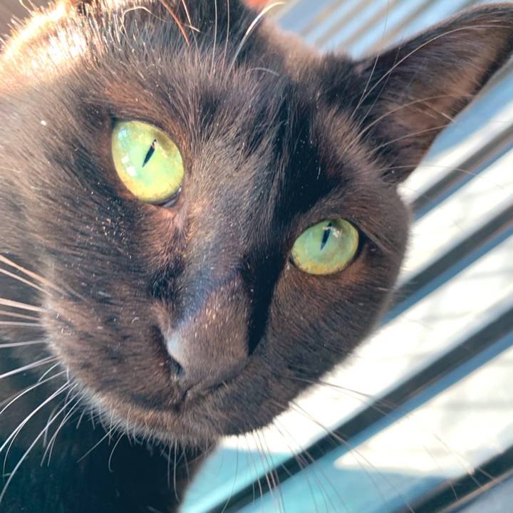 960ddca4 15fe 4bf5 a65b e82b223cd91e 1573392213967