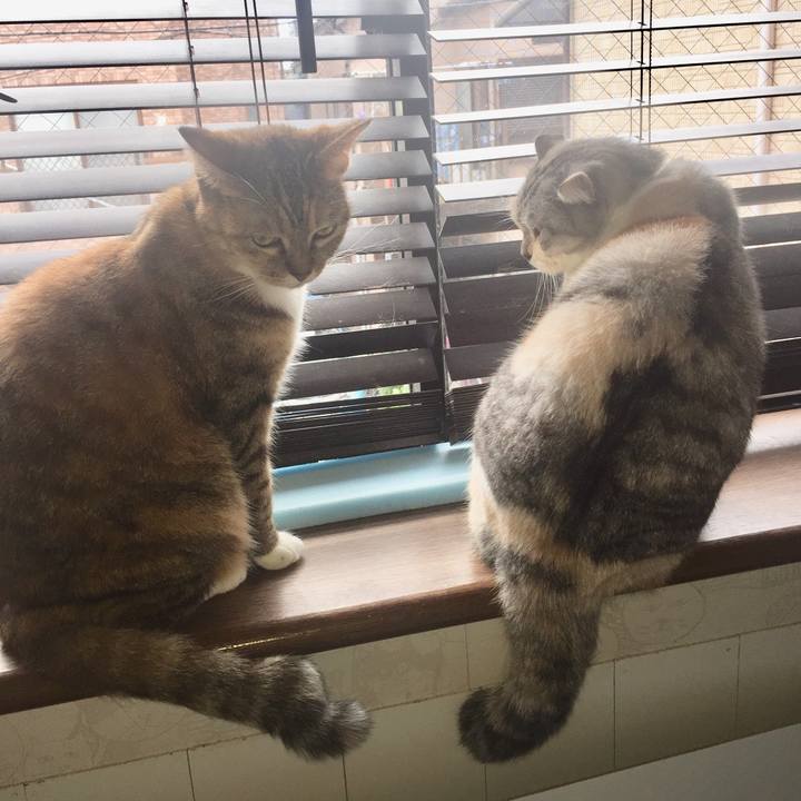 960e0ad9 575a 4bd4 bf20 ccf8d72299e2 1572141426282