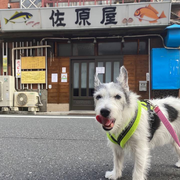 960e35bb 6096 4143 b8d2 95a8524c9d03 1598009570859