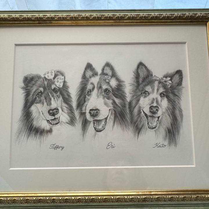 960e6e82 6daf 478d 89a1 61ad99b982b8 1752993110290