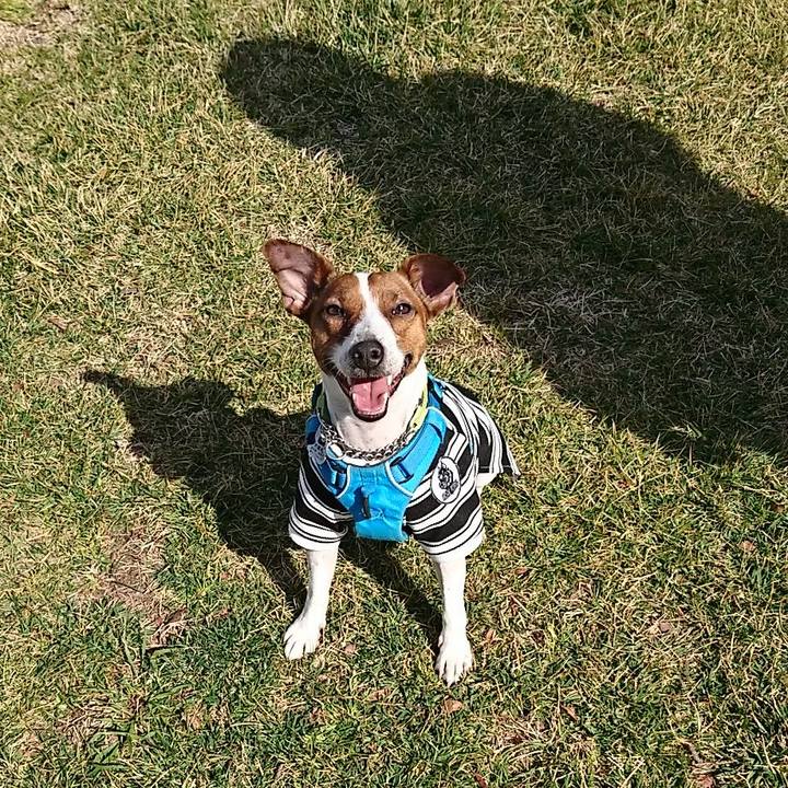 960e8f94 111d 42ef 9598 b3cc55ec8ddf 1582423757702