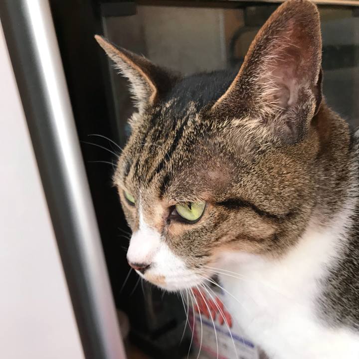 960ebe15 2619 4ffe bbaa 1726df0fd3b6 1526172969603