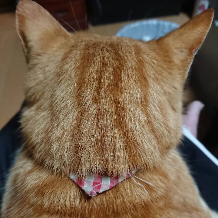 960ec2a4 2f09 417f 8583 2436bf6745df 1604606627932