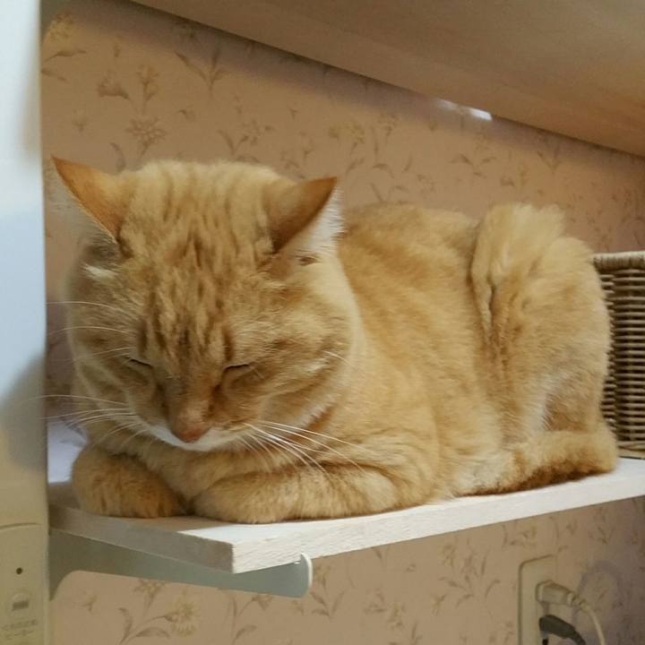 960f10cc 462d 42fa 8cd8 e0ab7b7b5af6 1576461784541