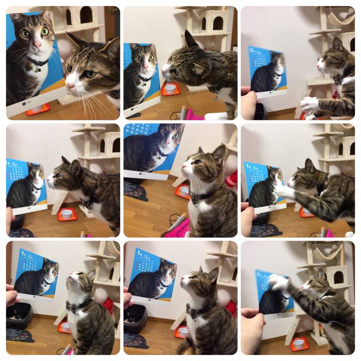 960f2cf9 17cc 4b5a b5a5 e4e368d07bb3 1701314320938