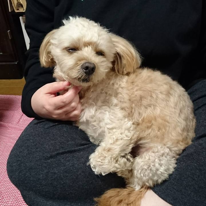 960f34c9 fcf8 4c0b ad09 7464d791f39a 1603622164812