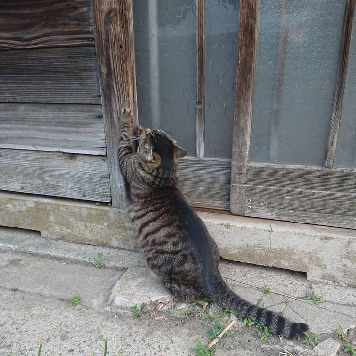 960f4cc0 6997 4a1b b8cb 4073a8f98684 1652992543842