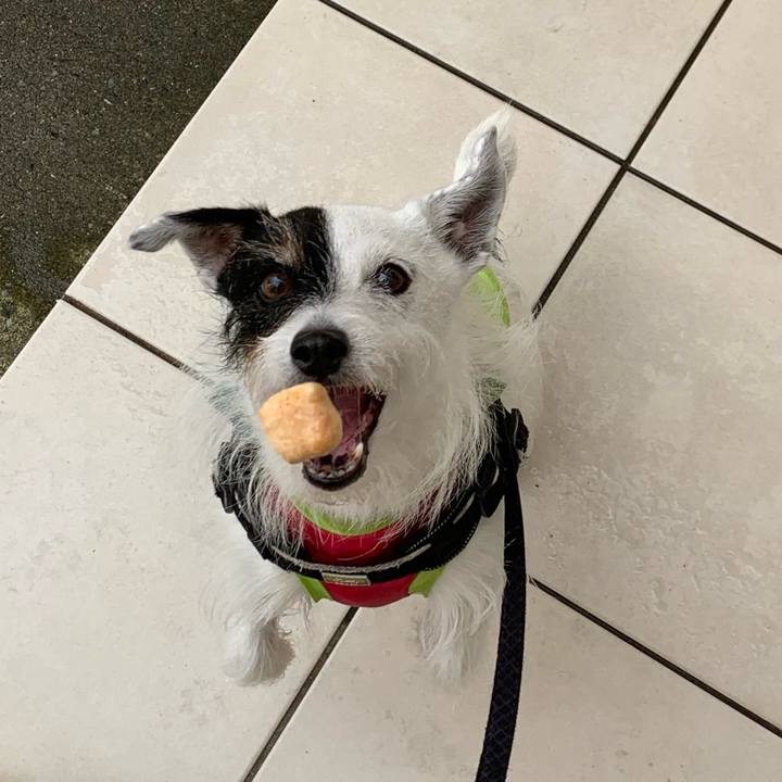 960f4f6a ef3f 492f 9e63 91ba2a97e63c 1752534304736