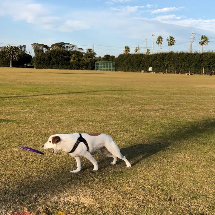 960f707b e0a3 45a8 8991 7a9f42b61702 1511616140677