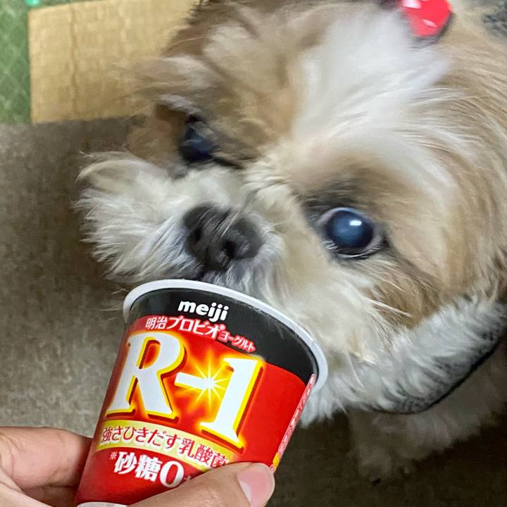 960f7eee 2599 46a5 974e d3bd158c2634 1608893197598