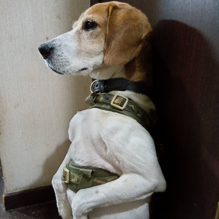 960fa28c 3621 406e 9740 c10107d9a373 1738669057824