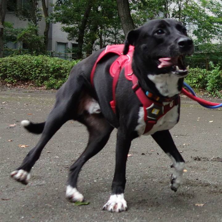 960fb2c5 ca93 432b 8c59 e084d73df629 1593597520791