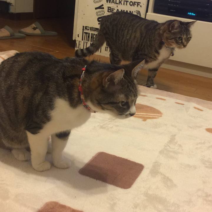 960fe38a 8202 4b66 b078 79dae7ef0d4d 1551625909079