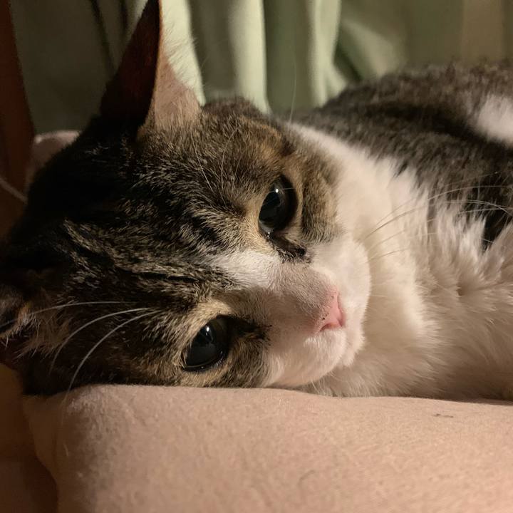 96104980 13e2 4d78 9608 332f95b1948c 1687565993631