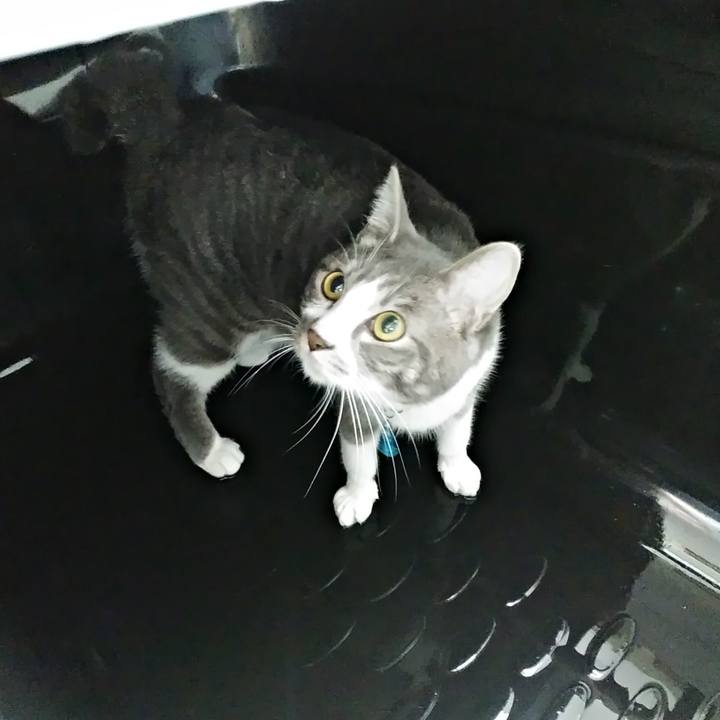 96106440 1dc0 481e a4ae 01b6afb29b9a 1583537888087