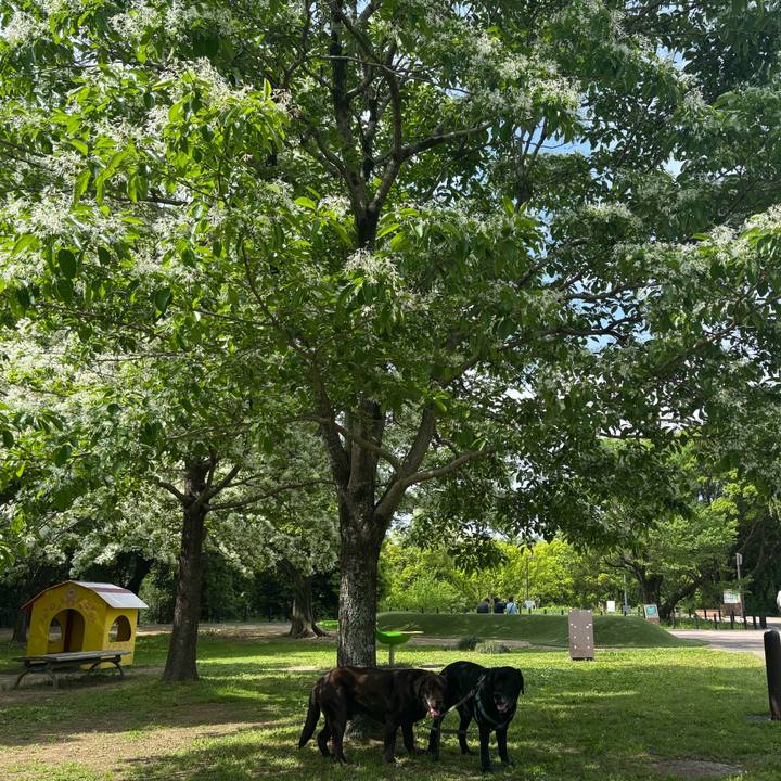 96107cc4 dcc1 4c85 a56e d6af715d1501 1777203149881